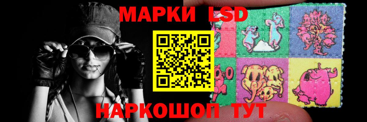 Лсд 25 экстази кислота  Вход с VPN  Ногинск  ЛСД экстази кислота 