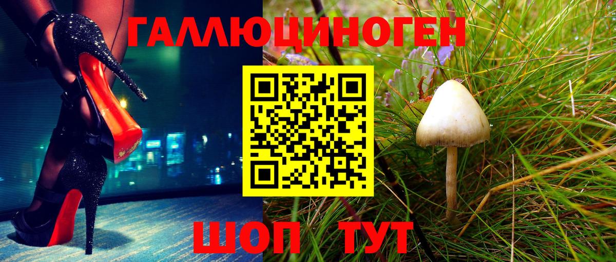 Галлюциногенные грибы Cubensis  Галлюциногенные грибы ЛСД  Вход с VPN  Ногинск 