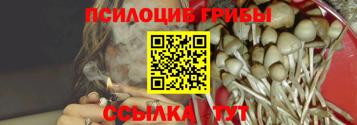 Псилоцибиновые грибы мухоморы Ногинск
